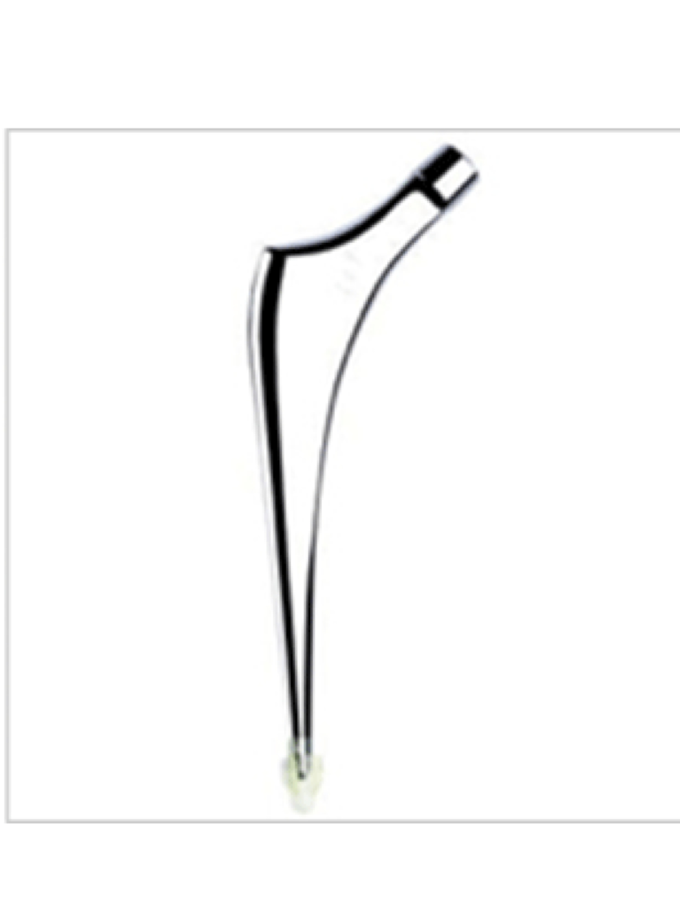 C-stem hip